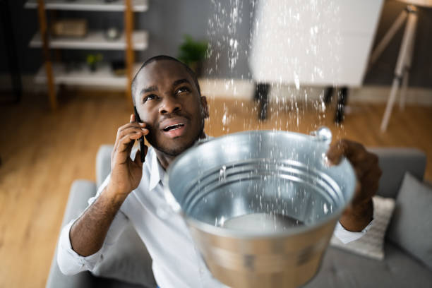 Best Carpet water damage restoration  in Malibu, CA