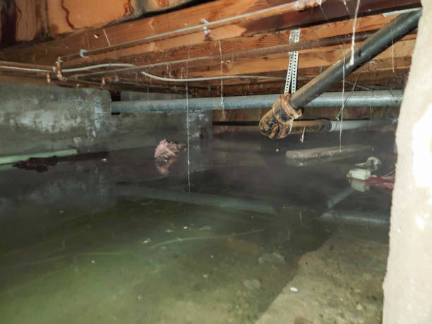 Best Water damage contractors near me  in Malibu, CA