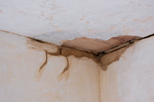 Best Emergency water damage restoration  in Malibu, CA