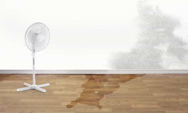 Best Sewage cleanup and water damage restoration  in Malibu, CA
