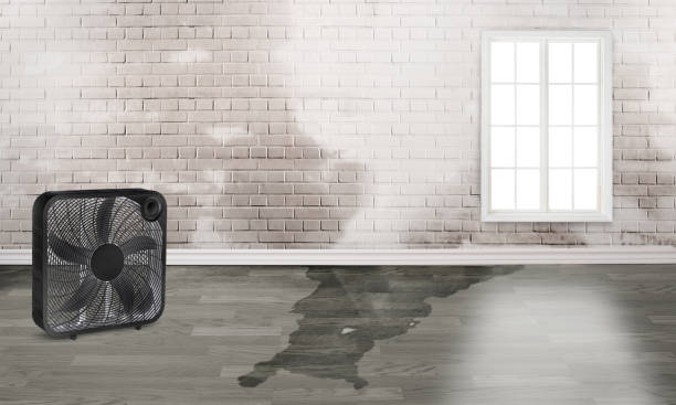 Best 24-hour water damage restoration  in Malibu, CA
