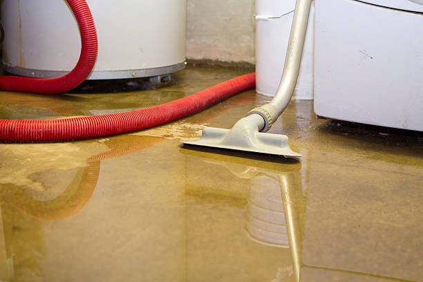 Best Flood restoration services  in Malibu, CA