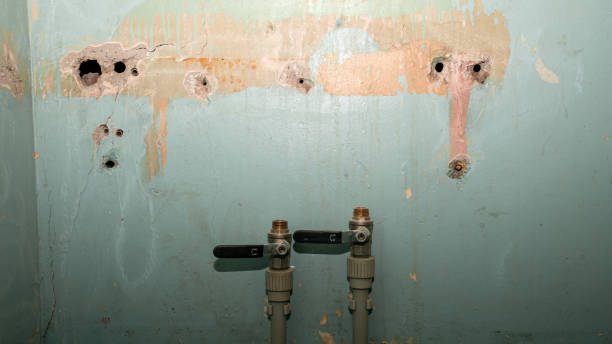 Water damage restoration mold remediation in Malibu, CA