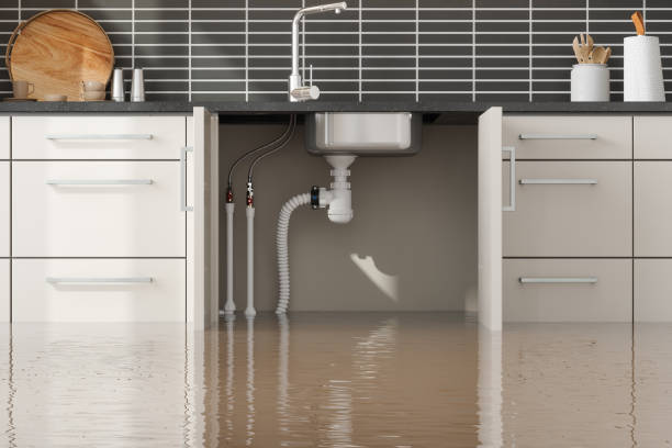  Malibu, CA Water damage restoration Pros
