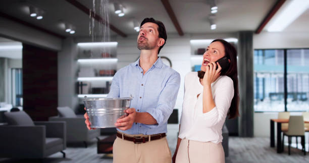 Best Mold removal after water damage  in Malibu, CA