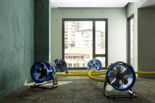 Best Commercial water damage restoration  in Malibu, CA