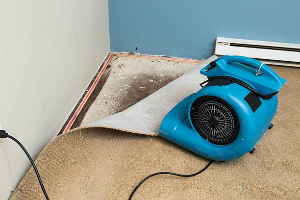 Professional Water damage restoration in Malibu, CA